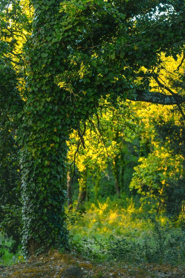 Agriturismo Cretaiole П'єнца Екстер'єр фото