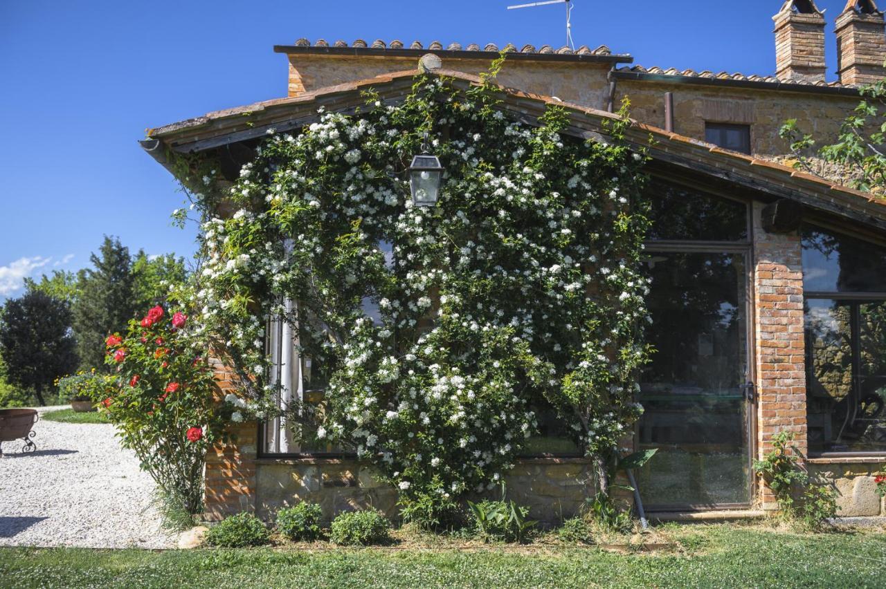 Agriturismo Cretaiole П'єнца Екстер'єр фото