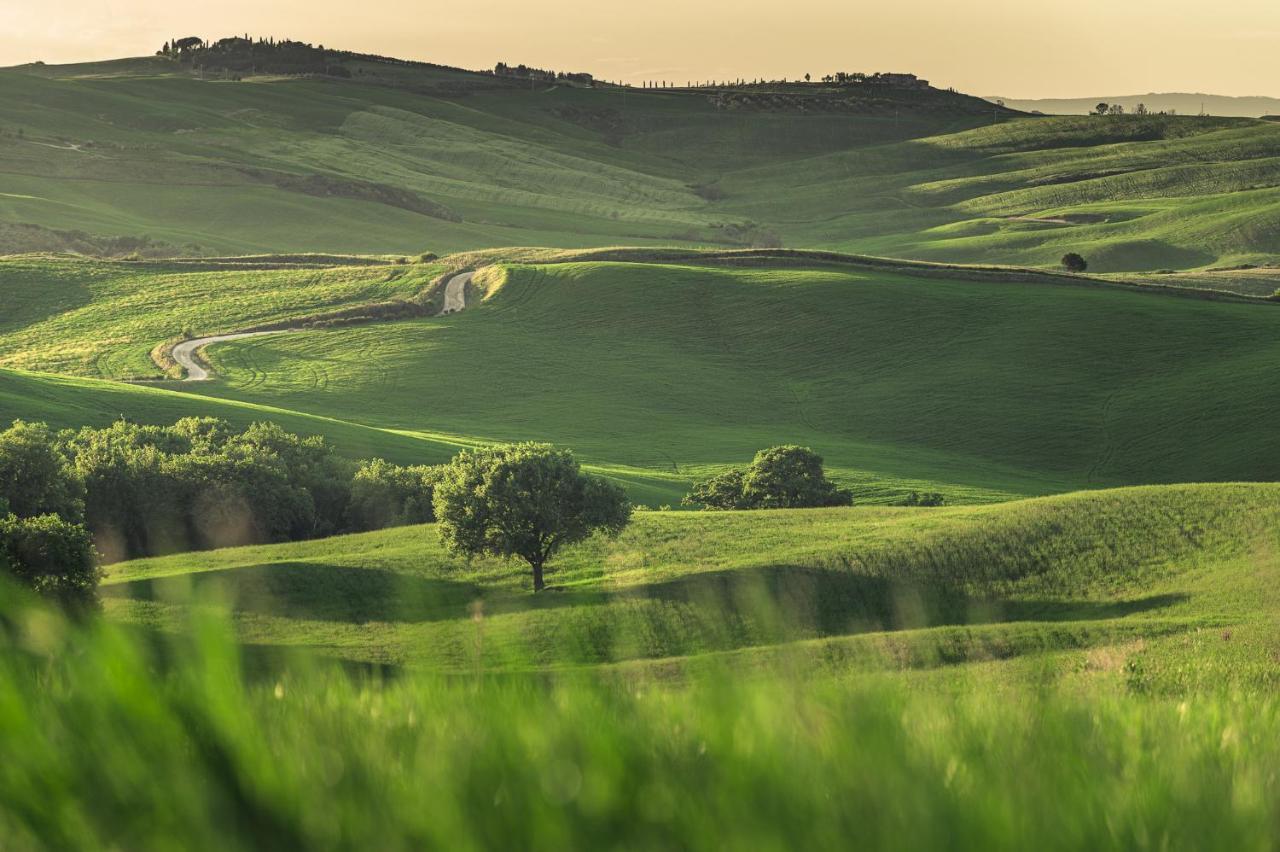 Agriturismo Cretaiole П'єнца Екстер'єр фото