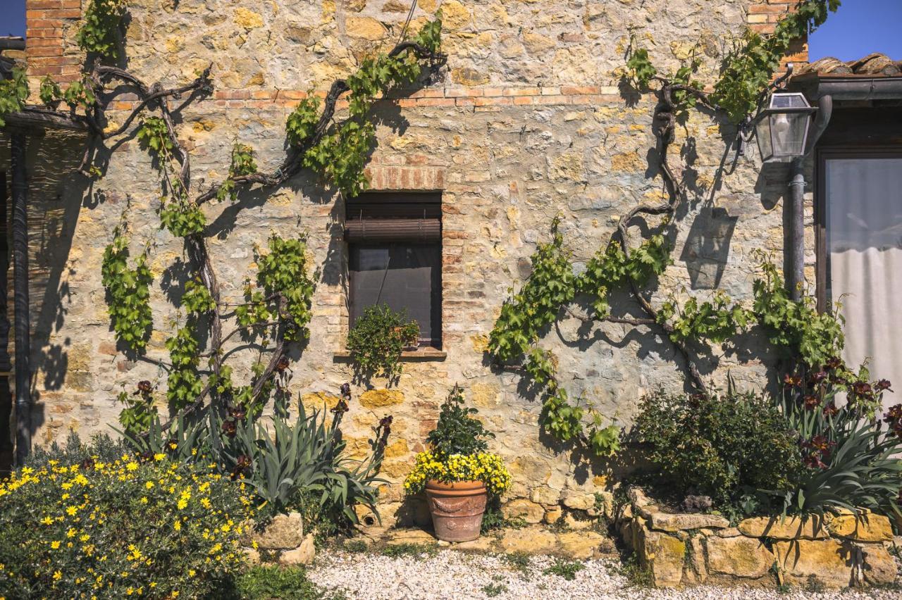 Agriturismo Cretaiole П'єнца Екстер'єр фото