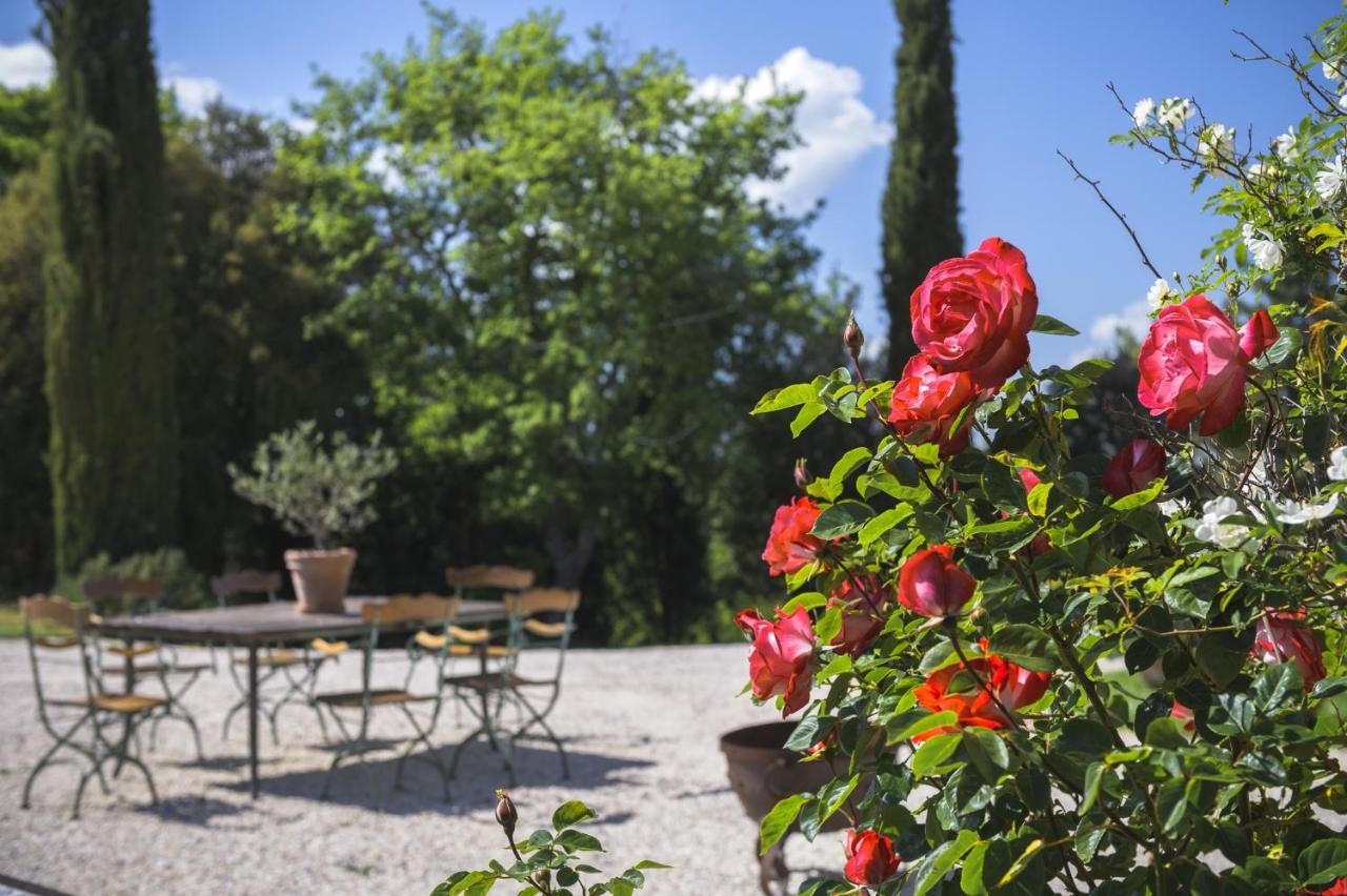 Agriturismo Cretaiole П'єнца Екстер'єр фото