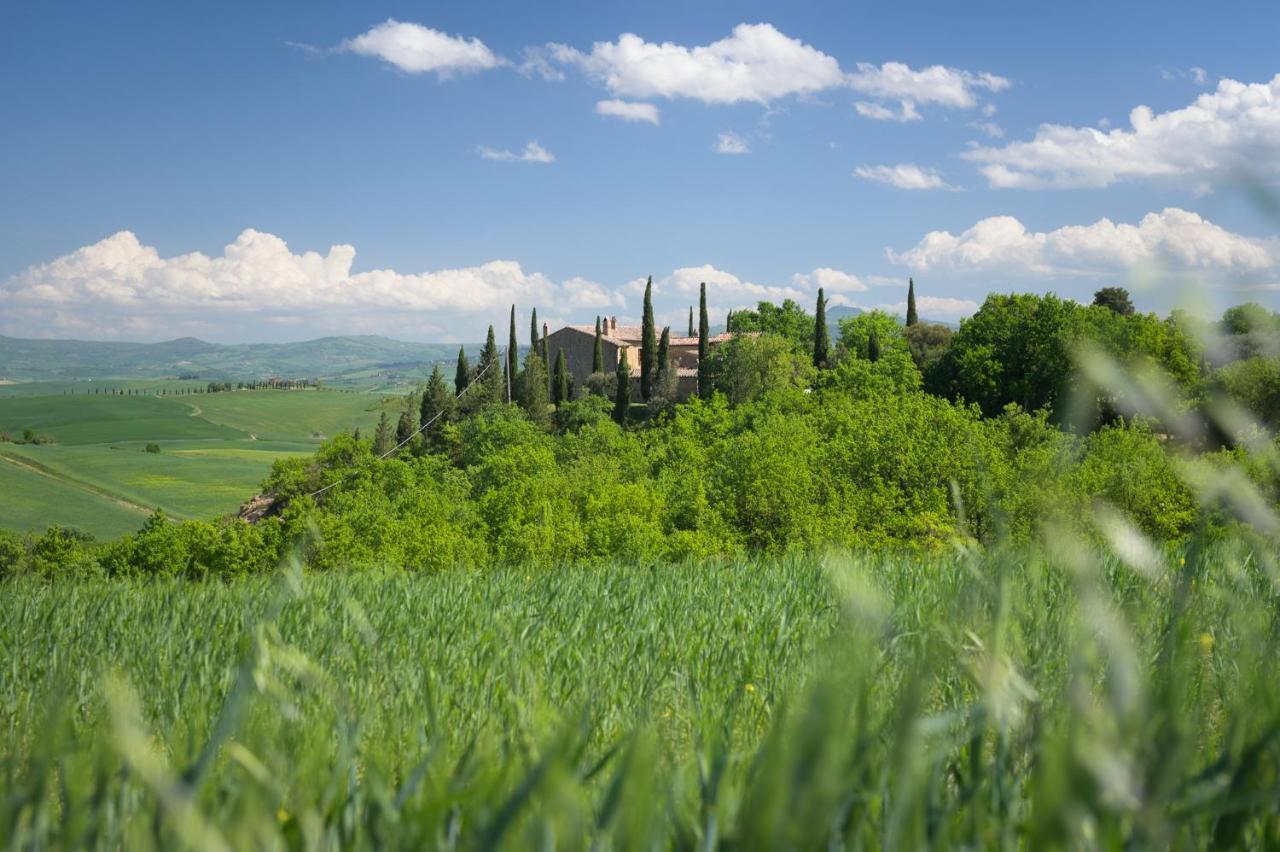 Agriturismo Cretaiole П'єнца Екстер'єр фото